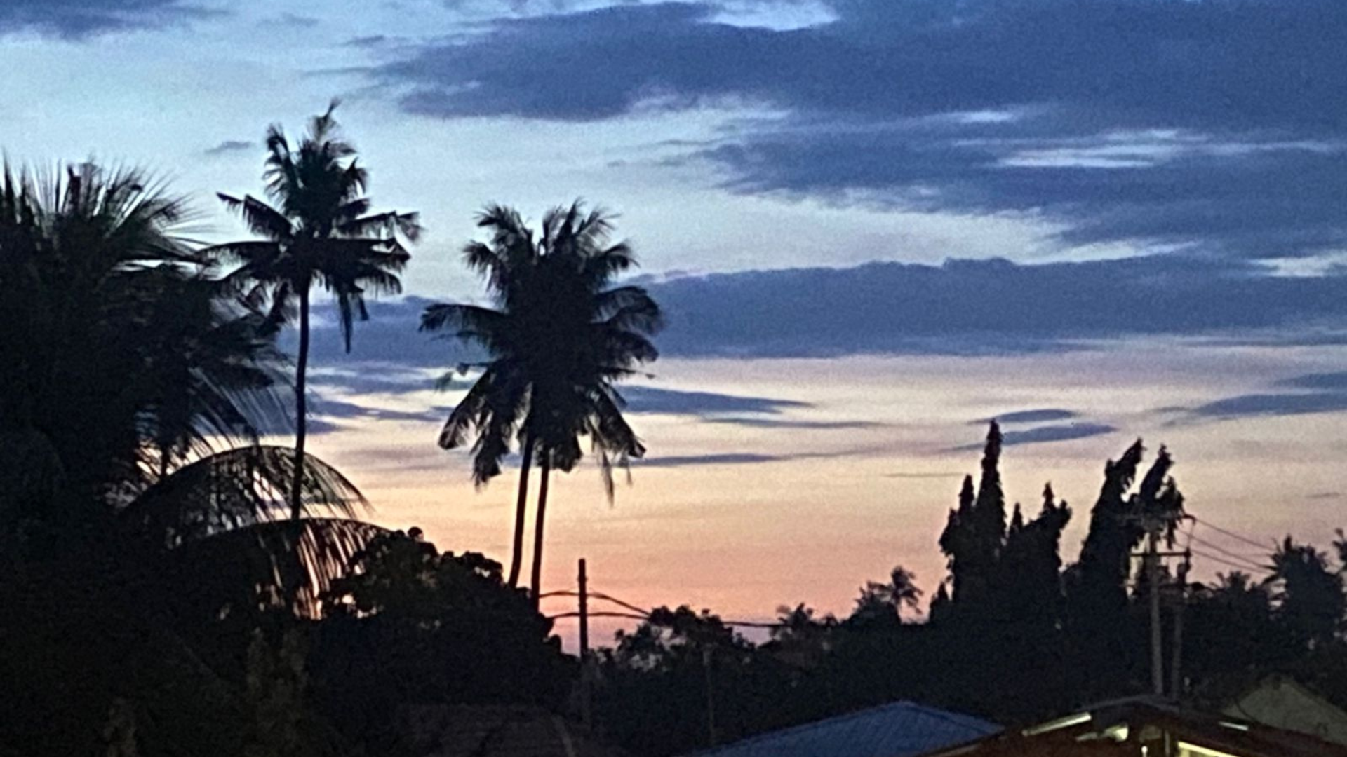 Sunset over palm trees in Buleleng, Bali
